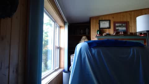 bigthicksatisfying2 online show from 17, 9, 2025