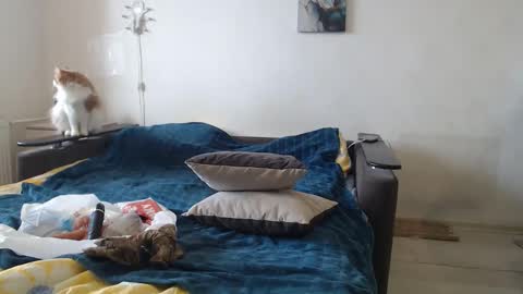 BigTwinsOmg online show from 24, 2, 2026