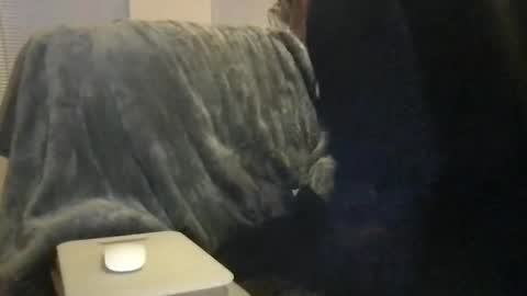 Bigwhitedickdaddy and BabyCakes online show from 16, 2, 2026