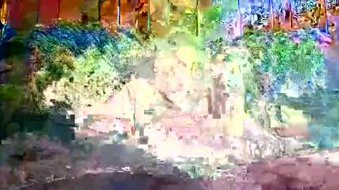 bigwytecock1979 online show from 9, 12, 2024