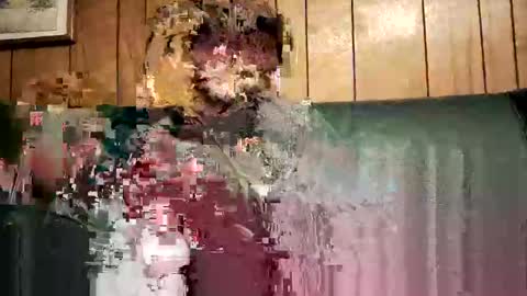 bigwytecock1979 online show from 3, 2, 2025