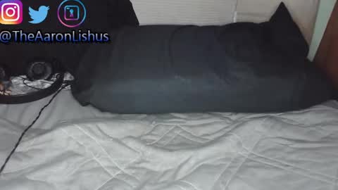 bizarre99 online show from 13, 1, 2025