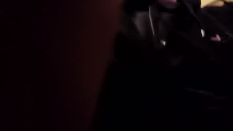 bkt15 online show from 16, 11, 2025