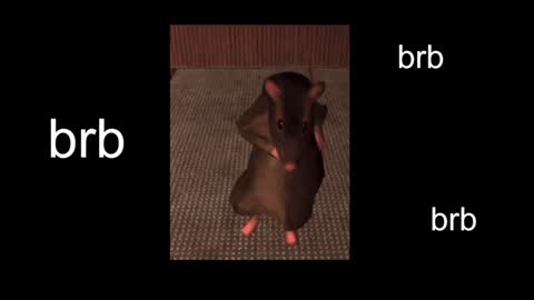  Black Kittie    Wednesday - 1300 - 1900 GMT help me get 100 thumbs up online show from 20, 1, 2025