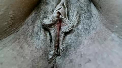 fiona online show from 25, 1, 2025