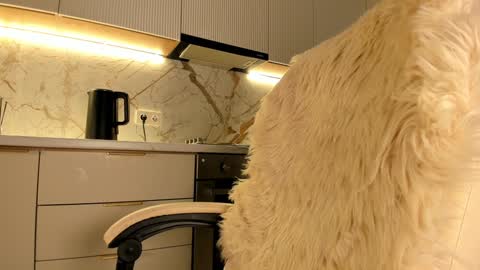 Karina online show from 20, 1, 2025