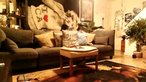 blackriches96 online show from 14, 2, 2026