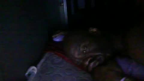 Snapshot of blackteddybear chatting on 18, 2, 2026 blackteddybear online show from 18, 2, 2026