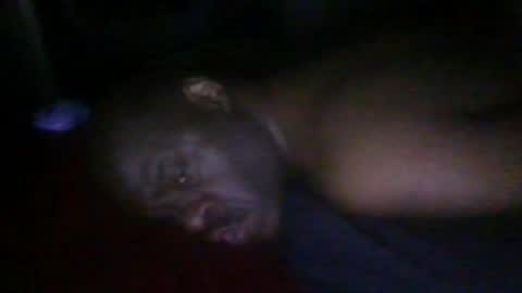 Snapshot of blackteddybear chatting on 19, 2, 2026 blackteddybear online show from 19, 2, 2026