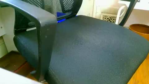 Aqua online show from 7, 11, 2025