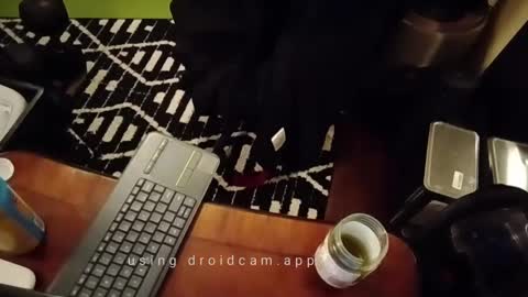 Blackjag00 online show from 13, 2, 2025