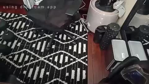 Blackjag00 online show from 16, 2, 2025