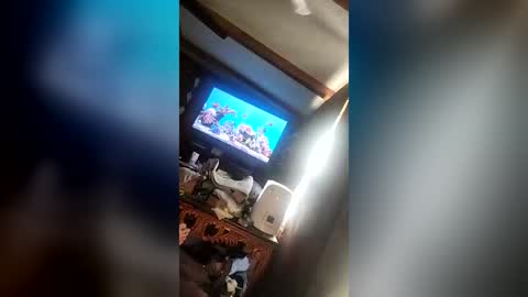 blamblam696969 online show from 28, 6, 2026