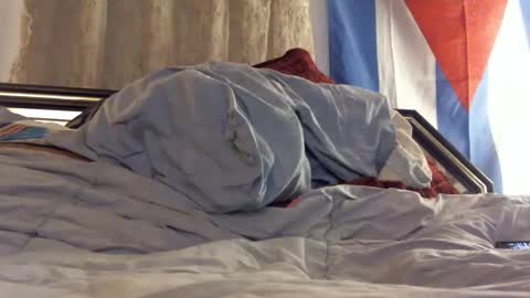 FreshCut online show from 11, 2, 2025