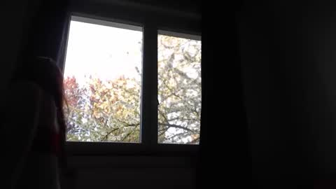 blondyelena online show from 6, 4, 2026