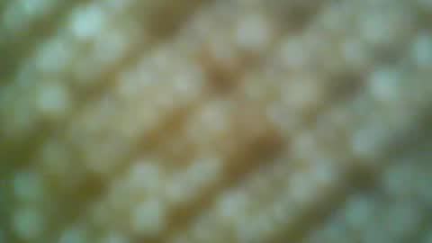 Snapshot of boatman00769 chatting on 31, 5, 2026 Motto Motto online show from 31, 5, 2026