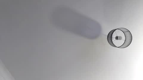 bobby160968 online show from 19, 11, 2025