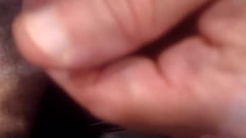 Snapshot of bobswan chatting on 9, 9, 2025 bobswan online show from 9, 9, 2025