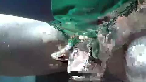 Snapshot of bogey58 chatting on 8, 12, 2024 bogey58 online show from 8, 12, 2024