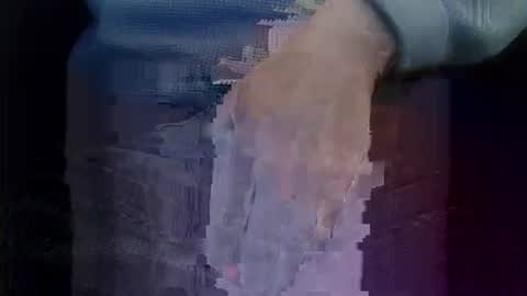 bogus25 online show from 1, 3, 2026