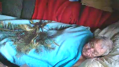 Bomber59potsdam online show from 25, 1, 2025