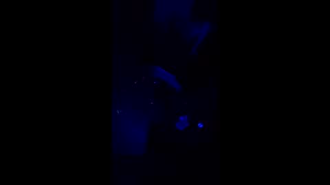 bonafidesoulsnatcher online show from 2, 3, 2026