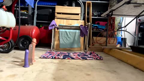 FRECKLES online show from 18, 2, 2025