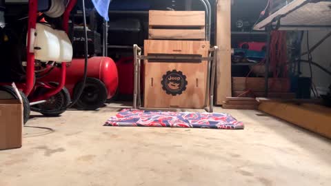 FRECKLES online show from 20, 2, 2025