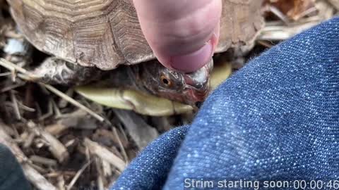 Booker Baxton online show from 21, 12, 2024