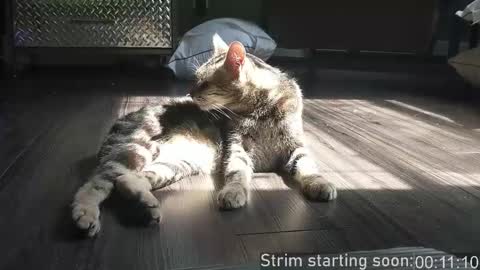 Booker Baxton online show from 2, 12, 2025