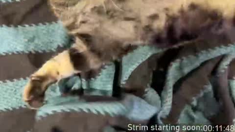 Booker Baxton online show from 15, 3, 2026