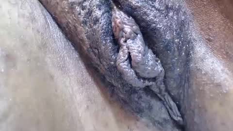 Snapshot of bootybounce4 chatting on 9, 12, 2024 bootybounce4 online show from 9, 12, 2024