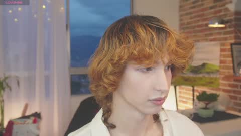 Bream online show from 22, 12, 2024