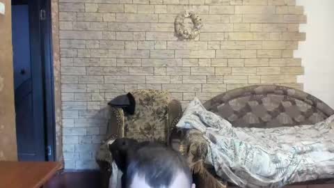 Snapshot of boyapollon chatting on 24, 12, 2024 BoyApollon online show from 24, 12, 2024