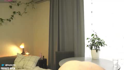 Snapshot of boyturtle chatting on 5, 11, 2025 BoyTurtle online show from 5, 11, 2025