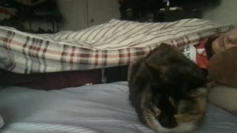 boywithbug online show from 13, 2, 2025