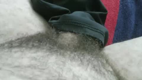 bpllpd online show from 11, 1, 2026