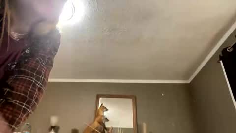 bps276 online show from 20, 2, 2026