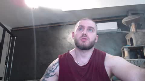 Snapshot of brad_pittfall chatting on 2, 11, 2025 ask me online show from 2, 11, 2025