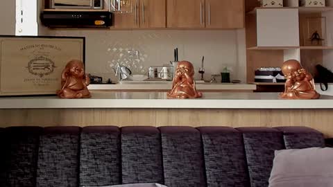 bradleymartin7 online show from 11, 1, 2025