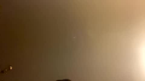 Brain Ortega online show from 28, 2, 2026