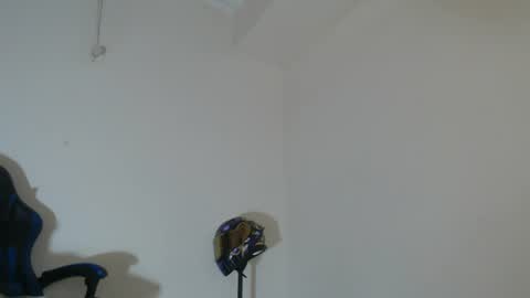 Snapshot of brandon_fs chatting on 21, 7, 2026 Brandon online show from 21, 7, 2026