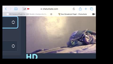 MANTE online show from 20, 11, 2025