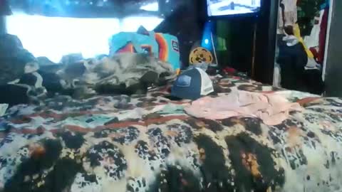 breezworld online show from 19, 11, 2025