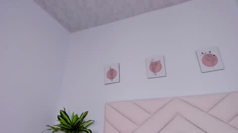   online show from 23, 12, 2024