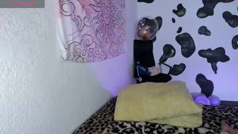 bri online show from 28, 11, 2025