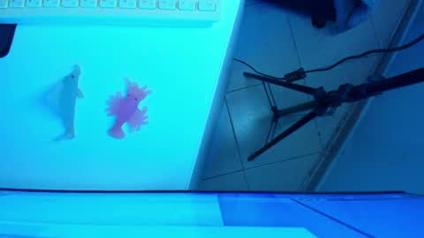 Snapshot of britanny_jones1 chatting on 3, 7, 2026 B R I T A N N Y online show from 3, 7, 2026