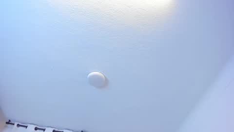 Brittany  online show from 15, 9, 2025