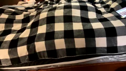 brownbootie1 online show from 7, 1, 2025