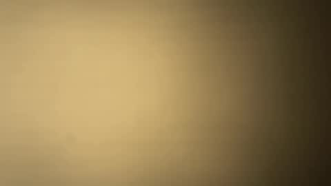 BRUCE online show from 7, 12, 2024